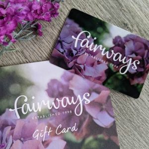 Shop gift cards